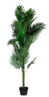 meet powered by PAPERFLOW PALME Kunstpalme 160,0 cm