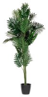 meet powered by PAPERFLOW PALME Kunstpalme 160,0 cm
