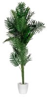 meet powered by PAPERFLOW PALME Kunstpalme 160,0 cm