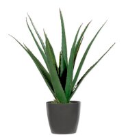 meet powered by PAPERFLOW ALOE VERA Kunstpflanze 45,0 cm