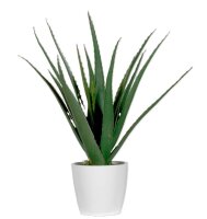 meet powered by PAPERFLOW ALOE VERA Kunstpflanze 45,0 cm