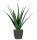 meet powered by PAPERFLOW ALOE VERA Kunstpflanze 45,0 cm