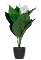 meet powered by PAPERFLOW EINBLATT Kunstpflanze 55,0 cm