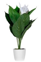 meet powered by PAPERFLOW EINBLATT Kunstpflanze 55,0 cm