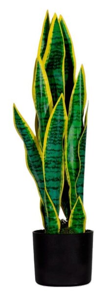 meet powered by PAPERFLOW SANSEVIERIA Kunstpflanze 65,0 cm
