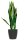 meet powered by PAPERFLOW SANSEVIERIA Kunstpflanze 65,0 cm