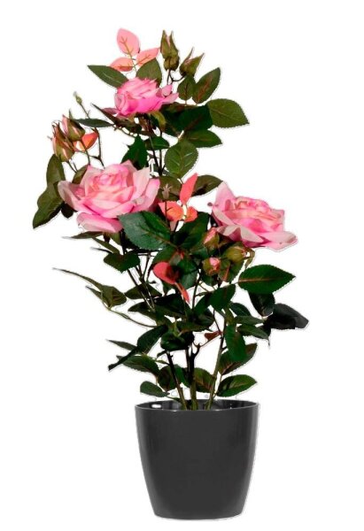 meet powered by PAPERFLOW ROSENSTOCK Kunstpflanze 54,0 cm