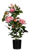 meet powered by PAPERFLOW ROSENSTOCK Kunstpflanze 54,0 cm
