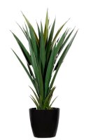 meet powered by PAPERFLOW YUCCA Kunstpalme 60,0 cm