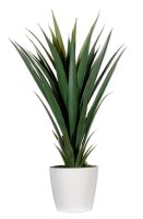 meet powered by PAPERFLOW YUCCA Kunstpalme 60,0 cm