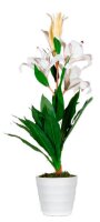 meet powered by PAPERFLOW LILIENBLUME Kunstpflanze 65,0 cm
