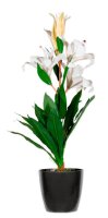 meet powered by PAPERFLOW LILIENBLUME Kunstpflanze 65,0 cm