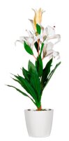 meet powered by PAPERFLOW LILIENBLUME Kunstpflanze 65,0 cm