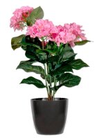 meet powered by PAPERFLOW HORTENSIE Kunstpflanze 55,0 cm