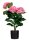 meet powered by PAPERFLOW HORTENSIE Kunstpflanze 55,0 cm