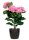 meet powered by PAPERFLOW HORTENSIE Kunstpflanze 55,0 cm