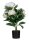 meet powered by PAPERFLOW PFINGSTROSE Kunstpflanze 55,0 cm