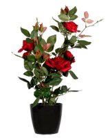 meet powered by PAPERFLOW ROSENSTOCK Kunstpflanze 54,0 cm