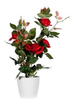 meet powered by PAPERFLOW ROSENSTOCK Kunstpflanze 54,0 cm
