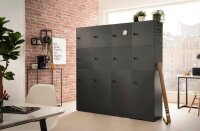 MÖBELPARTNER Spind Locked anthrazit 159258, 2 Schließfächer 45,4 x 40,7 x 92,6 cm