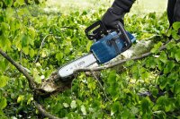 BOSCH Professional GKE 18V-40 Akku-Kettensäge 18,0 V, ohne Akku