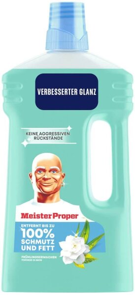 Meister Proper FRÜHLINGSERWACHEN Allzweckreiniger 1 l, 1 St.