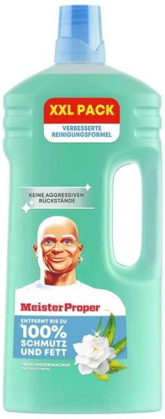 Meister Proper FRÜHLINGSERWACHEN Allzweckreiniger 2 l, 1 St.