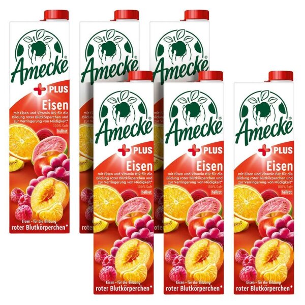 Amecke + Eisen Fruchtsaftkonzentrat 6x 1,0 l