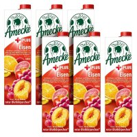 Amecke + Eisen Fruchtsaftkonzentrat 6x 1,0 l