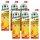 Amecke + Calcium Magnesium Fruchtsaftkonzentrat 6x 1,0 l  ( 372188 )