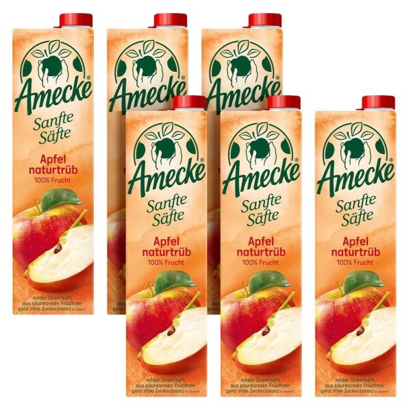 Amecke Sanfte Säfte Apfel naturtrüb Direktsaft 6x 1,0 l