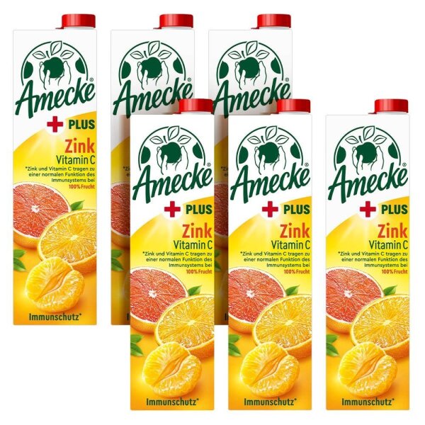 Amecke + Zink Fruchtsaftkonzentrat 6x 1,0 l