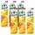 Amecke + Zink Fruchtsaftkonzentrat 6x 1,0 l