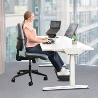 Fellowes Rückenkissen für Bürostühle...