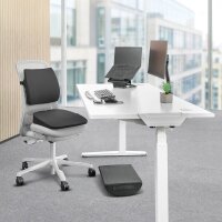Fellowes Rückenkissen für Bürostühle Breyta™ schwarz 33,0 x 38,0 cm, 1 St.