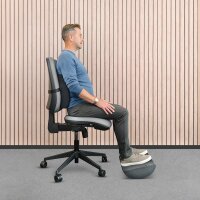 Fellowes Rückenkissen für Bürostühle Breyta™ schwarz 33,0 x 38,0 cm, 1 St.