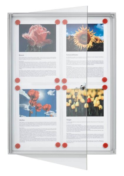 FRANKEN Schaukasten X-tra!Line  silber 4x DIN A4 51,0 x 3,0 x 68,0 cm, 1 St.