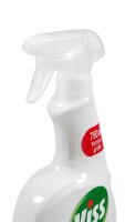 Viss Cleanboost Glasreiniger 750 ml, 1 St.