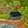 GARDENA Bewässerungs-Set AquaBloom L Solar