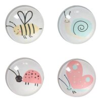 Zeller Insekten Magnete Motiv, Kunststoff Ø 2,5 x...