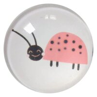 Zeller Insekten Magnete Motiv, Kunststoff Ø 2,5 x 0,8 cm, 4 St.