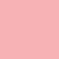 plottiX SpeedFlex Bügelfolie pink Flex-Folie 32,0 x 50,0 cm,  1 Rolle