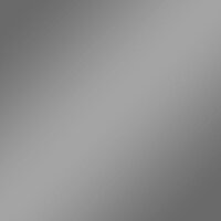 plottiX SpeedFlex Metallic Bügelfolie silber...