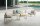 Garden Pleasure Loungegruppe FLORENCE hellgrau, braun Metall, 4-teilig