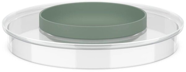 MEPAL Deckel für Schüssel Chef It transparent, 1 St.