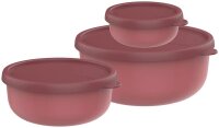 MEPAL Frischhaltedosen-Set Lumina 2.0 rot 0,25/0,75/1,5...