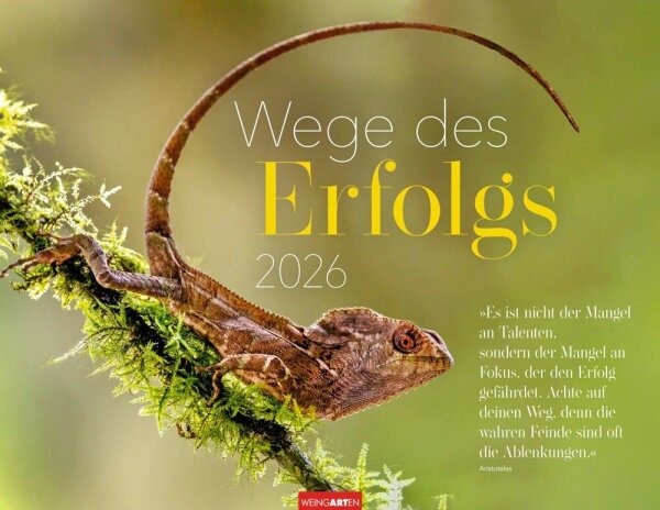 Weingarten Monats-Wandkalender Wege des Erfolgs 2026, 1 St.  ( 3311944-78 )