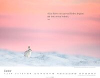 Weingarten Monats-Wandkalender Wege des Erfolgs 2026, 1...