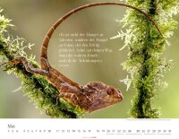 Weingarten Monats-Wandkalender Wege des Erfolgs 2026, 1 St.  ( 3311944-78 )