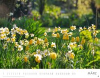 Heye Monats-Wandkalender Gartenparadies 2026, 1 St.